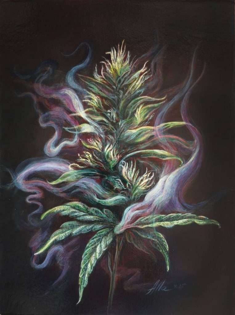 Cannabinoid