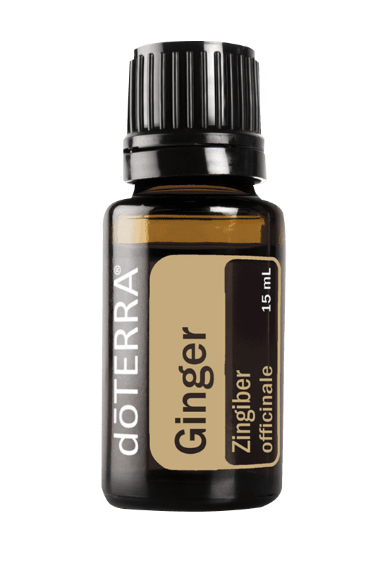 Ginger Ingwer Doterra