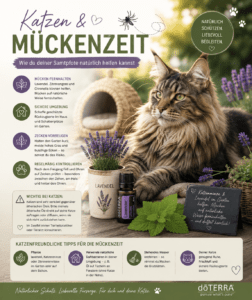 Katzen und Mücken